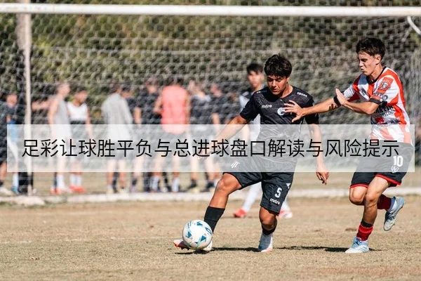足彩让球胜平负与总进球盘口解读与风险提示